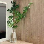 Clear 20cm Glass Vase for Flowers and Decor
