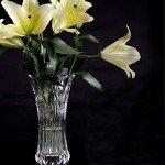 Set of 2 Modern Glass Flower Vases 9.5