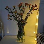 Clear 20cm Glass Vase for Flowers and Decor