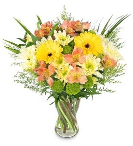 Season's Joy - Fresh Floral Arrangements for Every Occasion