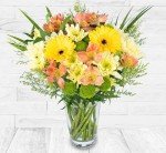 Season's Joy - Fresh Floral Arrangements for Every Occasion