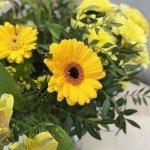 Season's Joy - Fresh Floral Arrangements for Every Occasion