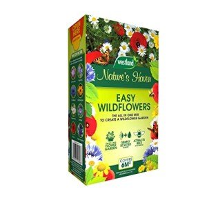 Nature's Haven Wildflower Mix Box - 1.2kg