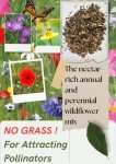 Wildflower Seed Mix for Bees and Butterflies