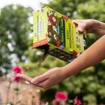 Nature's Haven Wildflower Mix Box - 1.2kg