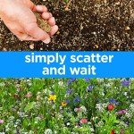 Wildflower Seeds for Bees & Butterflies Mix