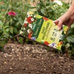 Nature's Haven Wildflower Mix Box - 1.2kg