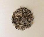 Wildflower Seed Mix for Garden and Wildlife