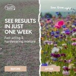 Wildflower Seed Shaker Pack: Attract Butterflies & Bees
