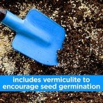Wildflower Seeds for Bees & Butterflies Mix