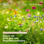 Wildflower Seed Shaker Pack: Attract Butterflies & Bees