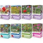 Wildflower Seeds for Bees & Butterflies Mix