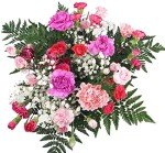 Pink Mixed Carnation Bouquet for Special Occasions