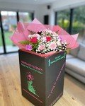 Pink Mixed Carnation Bouquet for Special Occasions