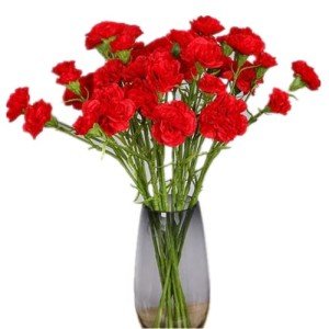 Red Silk Carnation and Hydrangea Bouquet