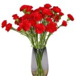 Red Silk Carnation and Hydrangea Bouquet