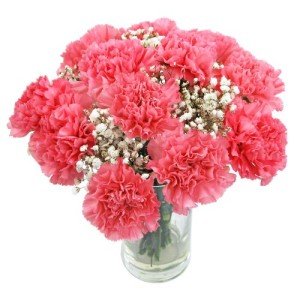 Elegant Pink Carnations Bouquet for Any Occasion