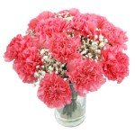 Elegant Pink Carnations Bouquet for Any Occasion