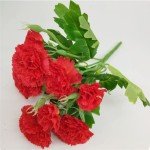 Red Silk Carnation and Hydrangea Bouquet