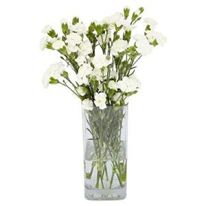 Morrisons Spray Carnation Flower Bouquet