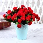 Red Silk Carnation and Hydrangea Bouquet
