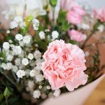 Beautiful Pink Carnations & Freesias Bouquet