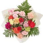 Vibrant Carnation Bouquet for Any Occasion