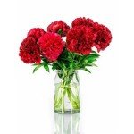 Red Silk Carnation and Hydrangea Bouquet