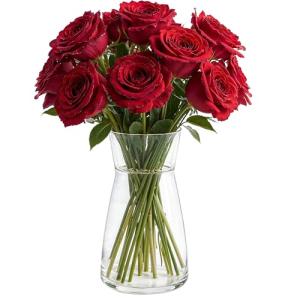Modern Clear Glass Vase for Flowers, 20cm