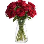 Modern Clear Glass Vase for Flowers, 20cm