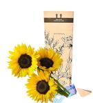 Bright Sunflower Bouquet - Perfect for Any Occasion