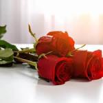 Stunning Hand-Tied Red Rose Bouquet Gift