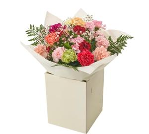 Vibrant Carnation Bouquet for Any Occasion