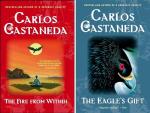 Carlos Castaneda's Essential 9 Book Collection