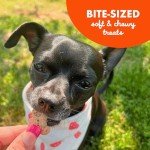 Peanut Butter Soft & Chewy Dog Treats