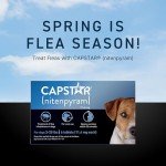 Capstar Oral Flea Treatment for Dogs 2-25 lbs