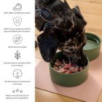 Maev Raw Dog Food with Chicken & Organ Meat