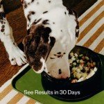 Maev Raw Dog Food with Chicken & Organ Meat