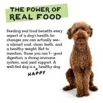 Freeze-Dried Raw Dog Food Topper Variety Pack