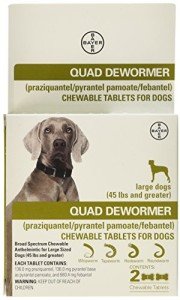 Bayer Quad Dewormer for Large Dogs - 2 Tablets