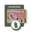 Bayer Quad Dewormer for Large Dogs - 2 Tablets