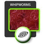 Bayer Quad Dewormer for Large Dogs - 2 Tablets