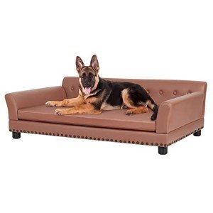 BingoPaw Luxury Elevated Dog Sofa Bed