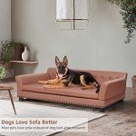 BingoPaw Luxury Elevated Dog Sofa Bed