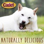 Double Stuffed Shin Bone for Aggressive Chewers