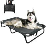 Loebelle Elevated Dog Bed for Medium Dogs