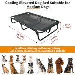 Loebelle Elevated Dog Bed for Medium Dogs