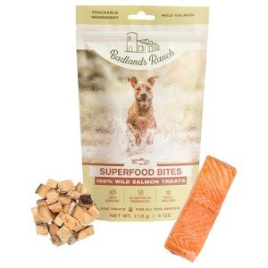 Wild Salmon Superfood Bites for Training Rewards