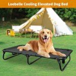 Loebelle Elevated Dog Bed for Medium Dogs