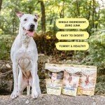 Wild Salmon Superfood Bites for Training Rewards